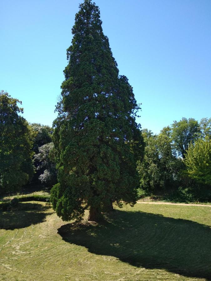 Chateau De St Alyre Hotel Sanssat Kültér fotó